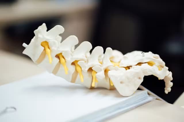 Spine & Nerve Conditions