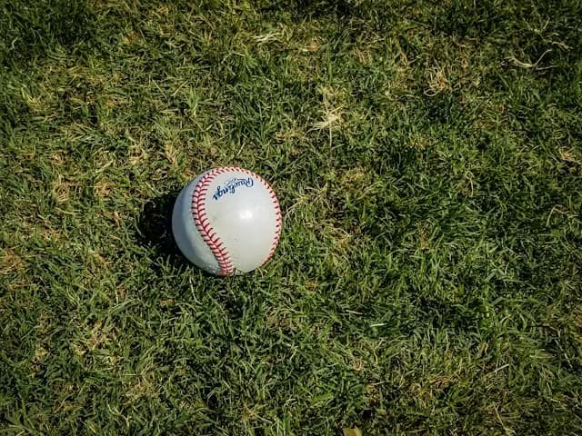 Baseball Physical Therapy