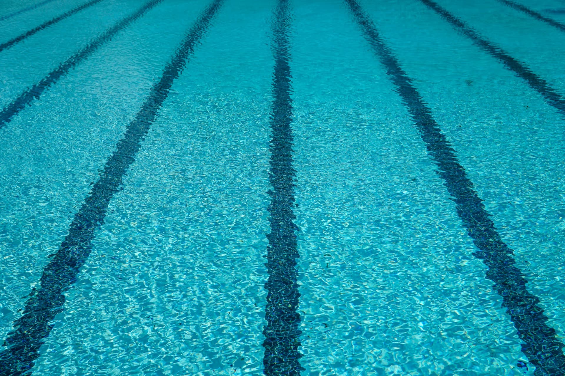 Physical Therapy for Swimmers Physical Therapy
