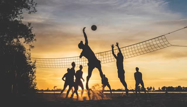 Volleyball Physical Therapy