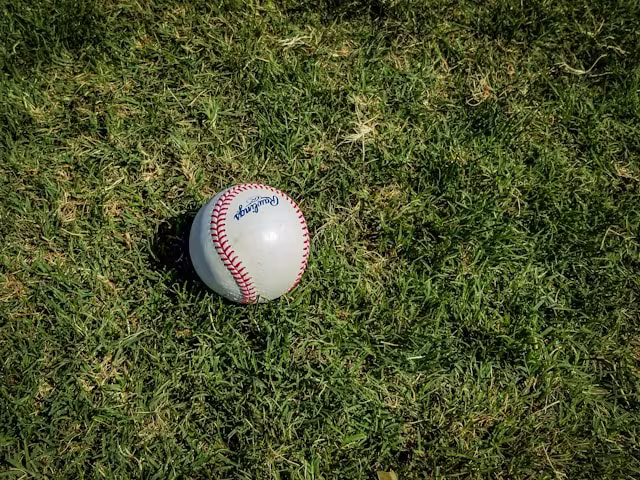 Physical Therapy for Baseball Players